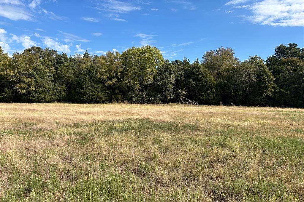 TBD8 County Road 141, Callisburg, TX 76240