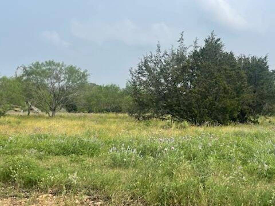 Lampasas, TX 76550,Lot 175 Heartleaf Drive