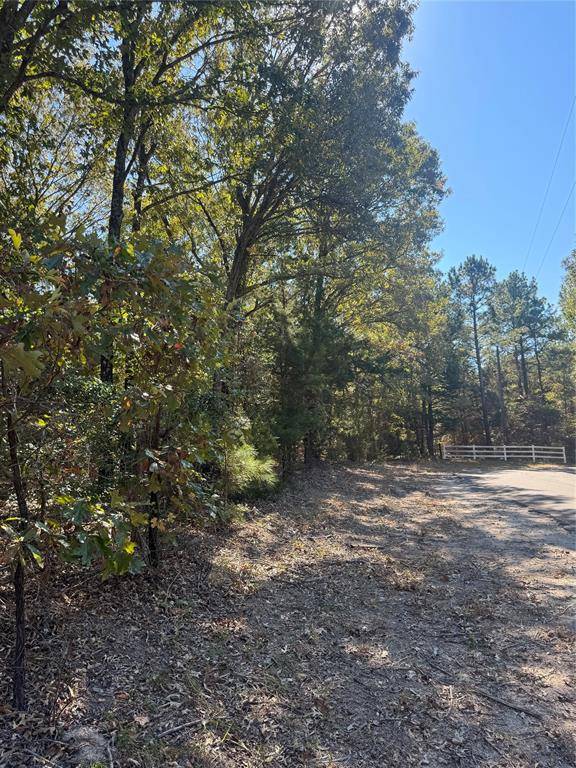 Quitman, TX 75783,TBD CR 3245