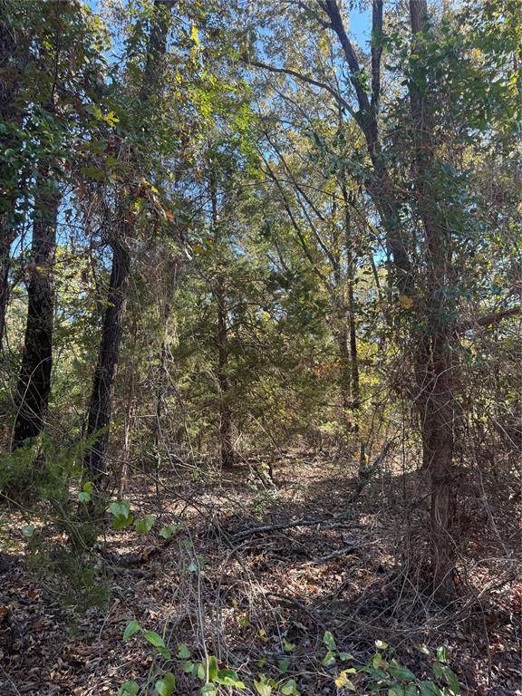 Quitman, TX 75783,TBD CR 3245