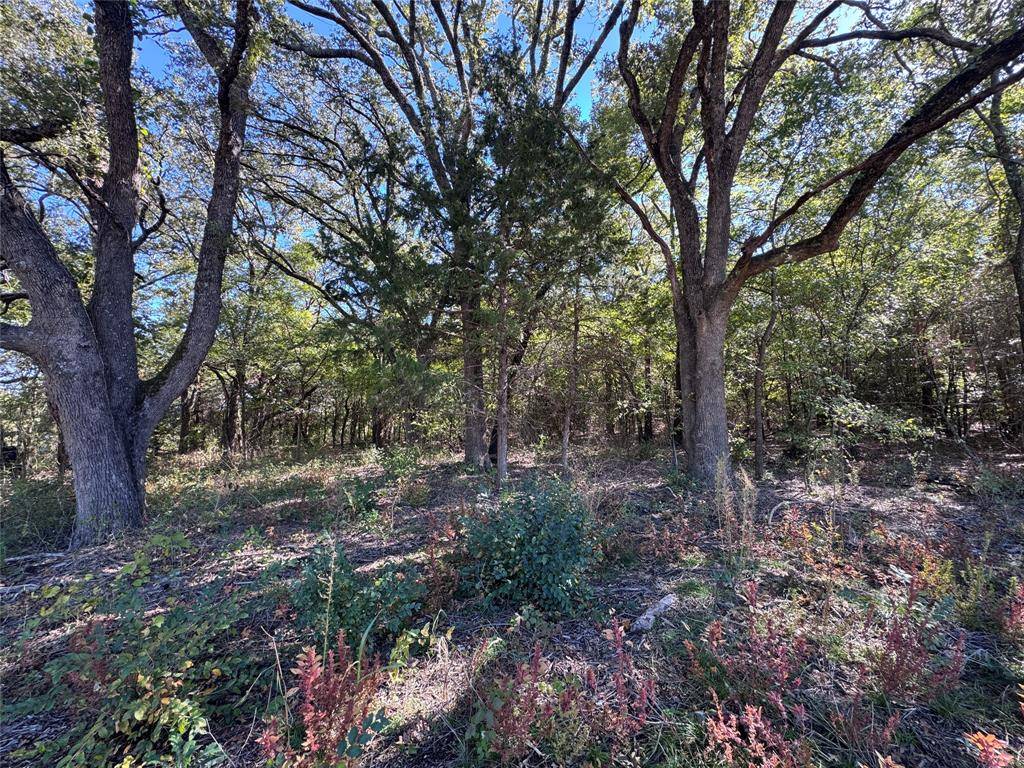 Gainesville, TX 76240,TBD Lot 7 Clark Road