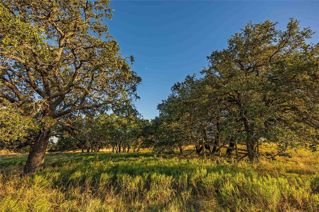 Comanche, TX 76442,3270 Fm-573