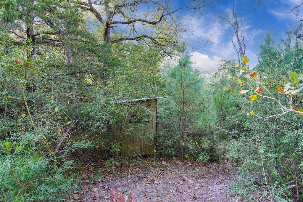 Teague, TX 75860,45 Acres County Road 930