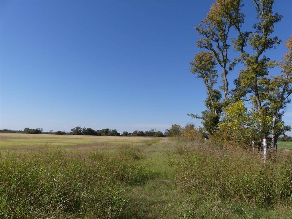 Forestburg, TX 76239,TBD FM 1749