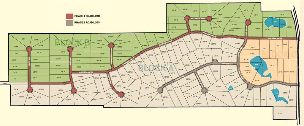 Royse City, TX 75189,6204 Turkey Oak