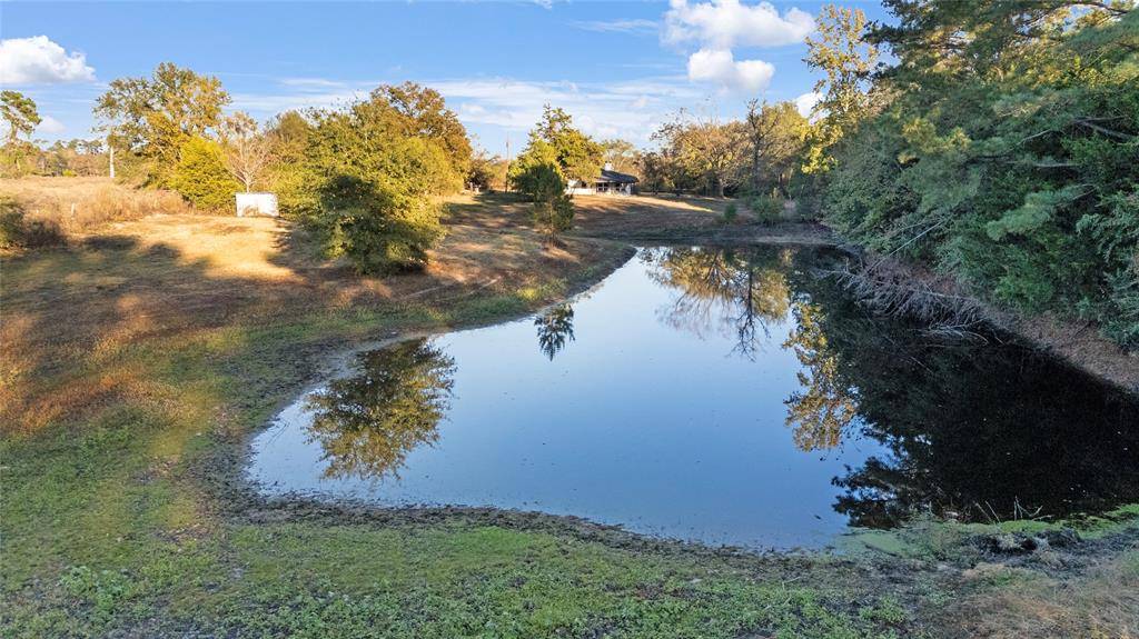 Gilmer, TX 75644,9086 FM 49