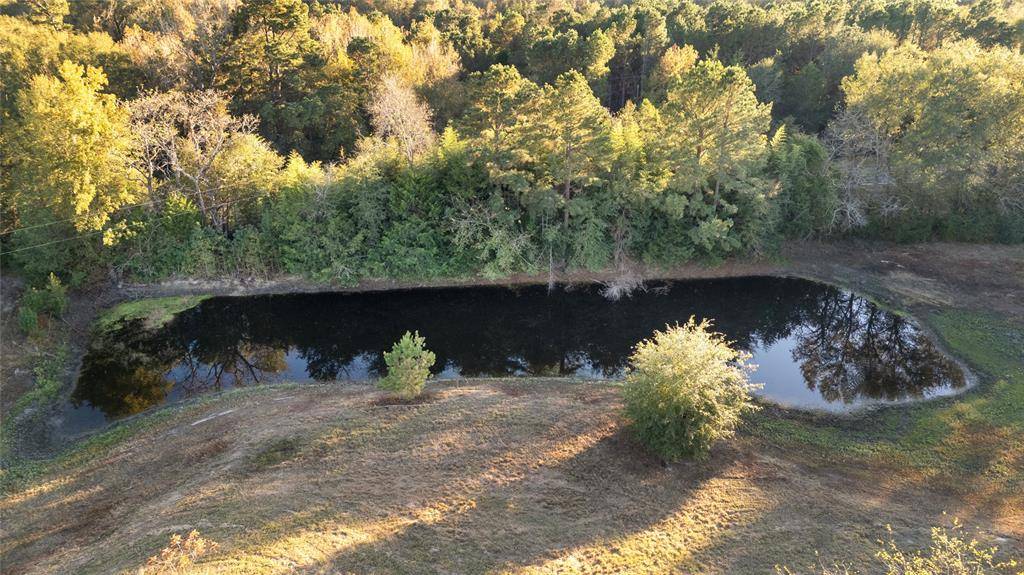 Gilmer, TX 75644,9086 FM 49