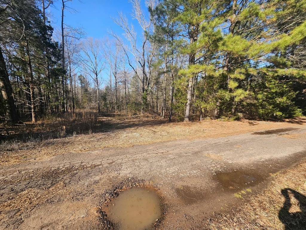 Pittsburg, TX 75686,152 County Road 4247