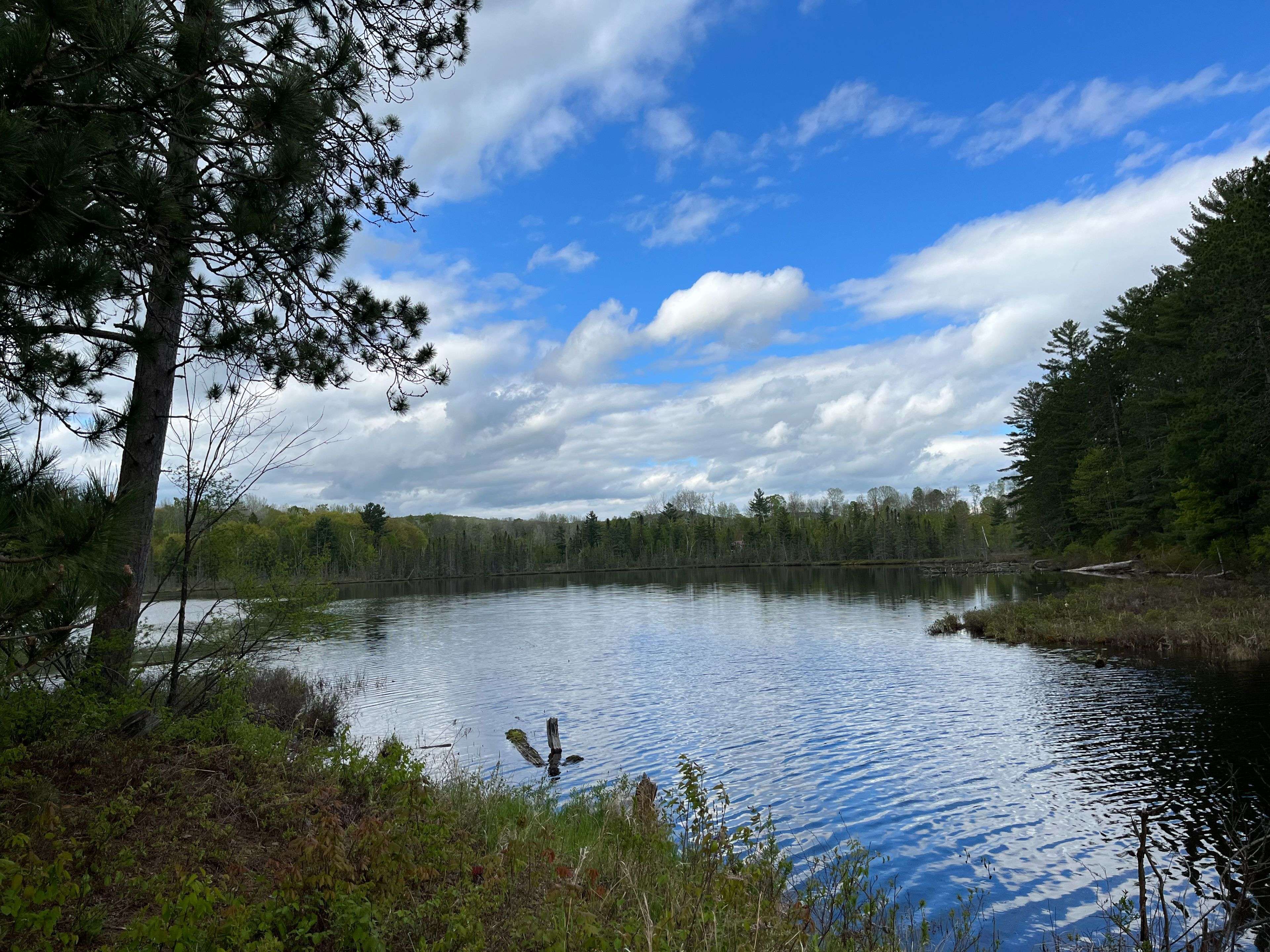 Lot 9 Casson TRL, Madawaska Valley, ON K0J 1B0