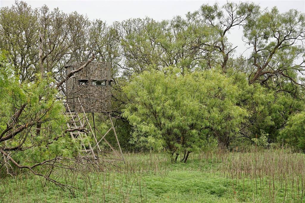 Mullin, TX 76864,180 County Road 531