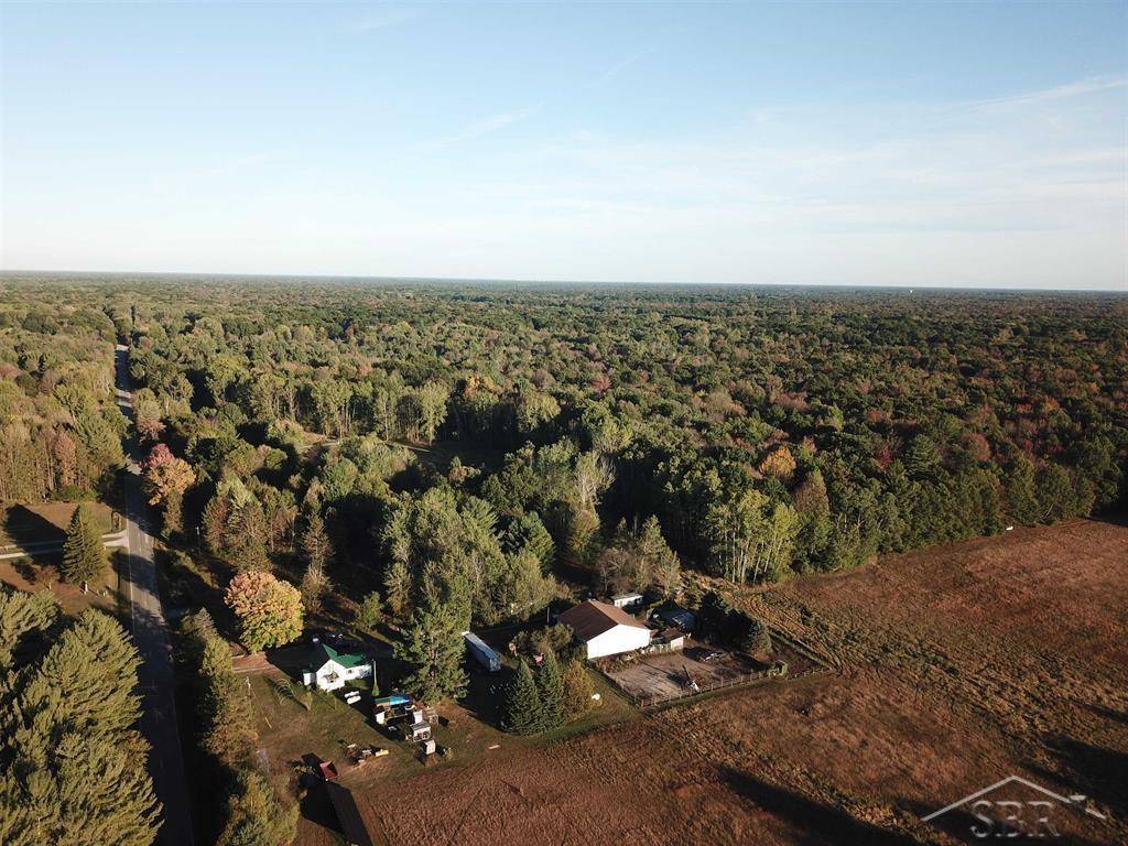 Coleman, MI 48618,VL W Walter RD