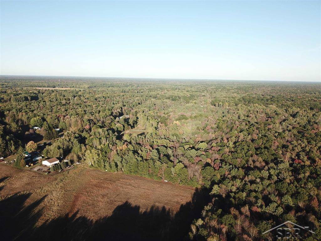 Coleman, MI 48618,VL W Walter RD