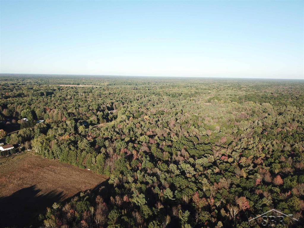 Coleman, MI 48618,VL W Walter RD