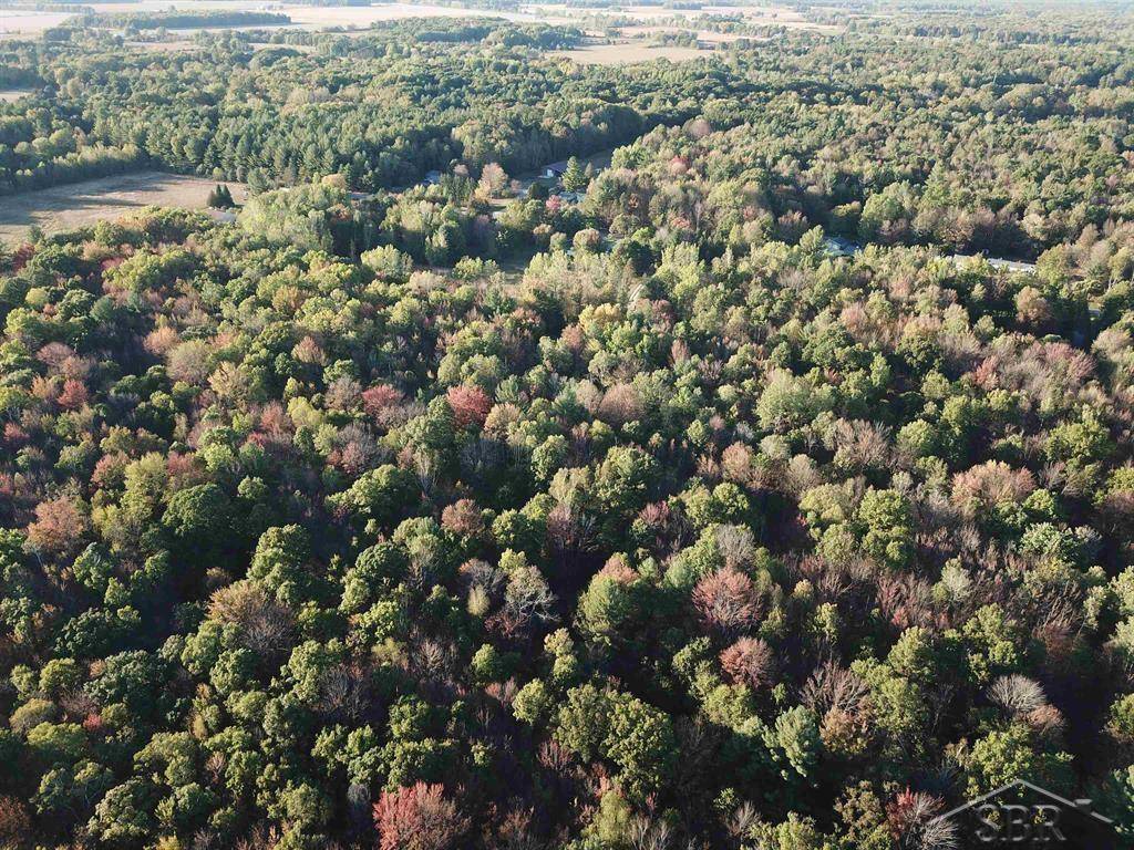 Coleman, MI 48618,VL W Walter RD