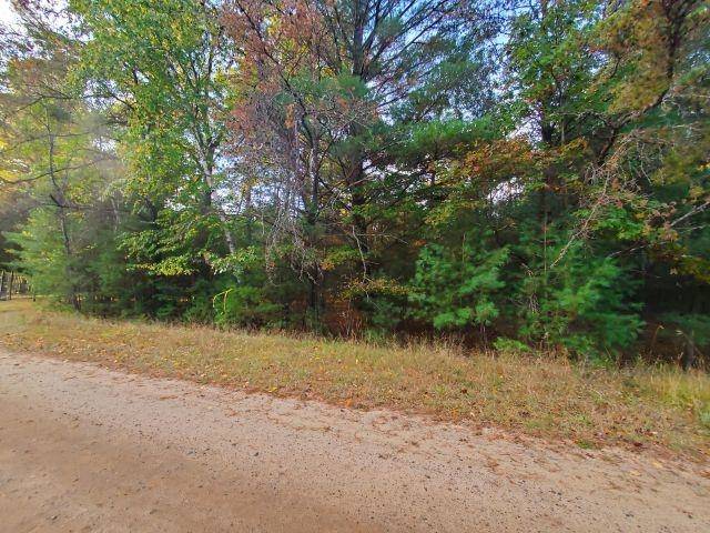 Alger, MI 48610,0 Buffalo TRL