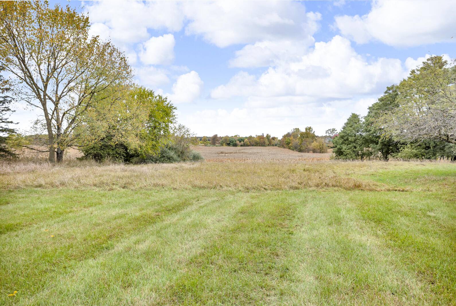 Grass Lake, MI 49240,13868 Phal RD