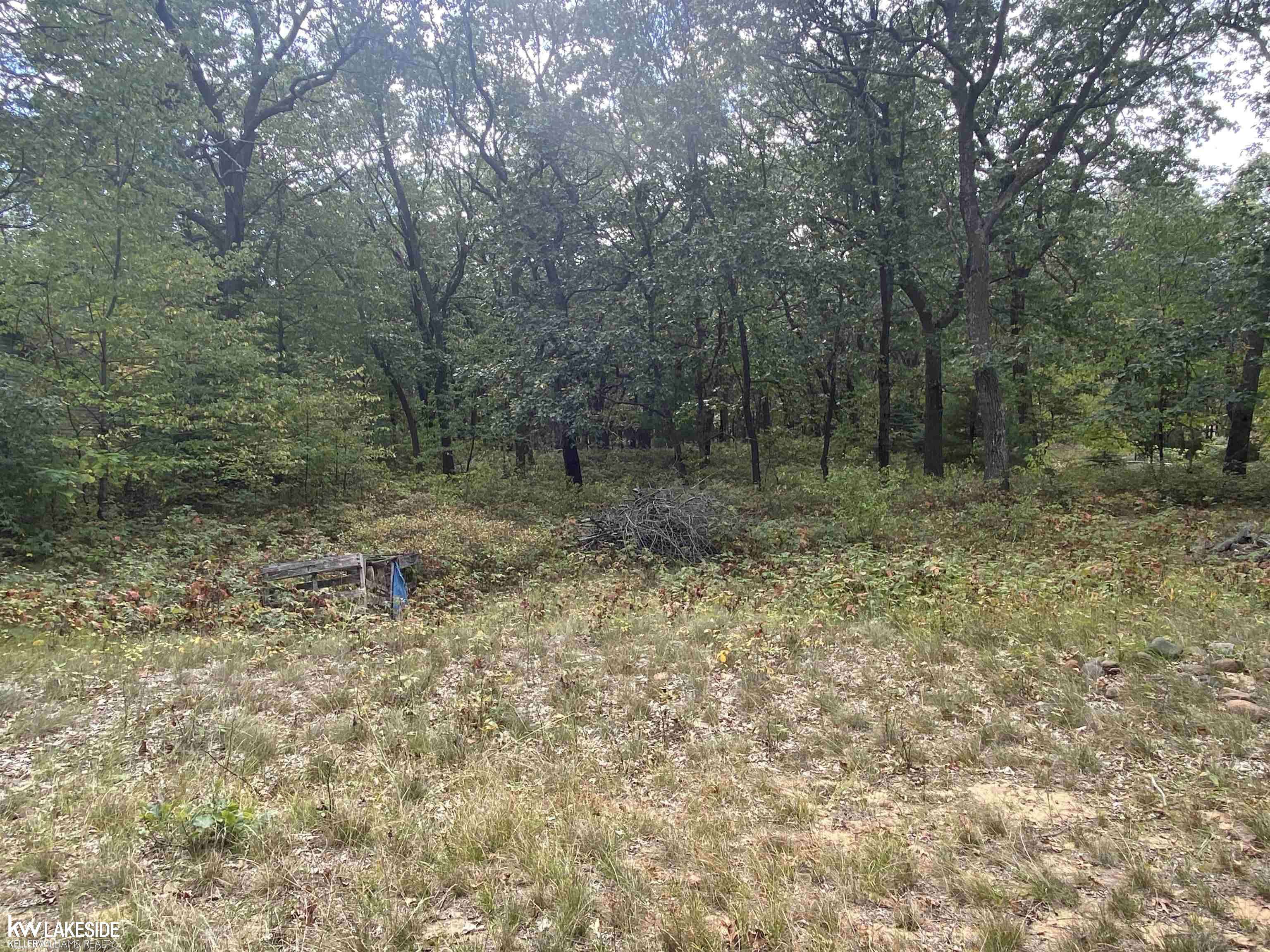 Caseville, MI 48725,00 Port Austin RD