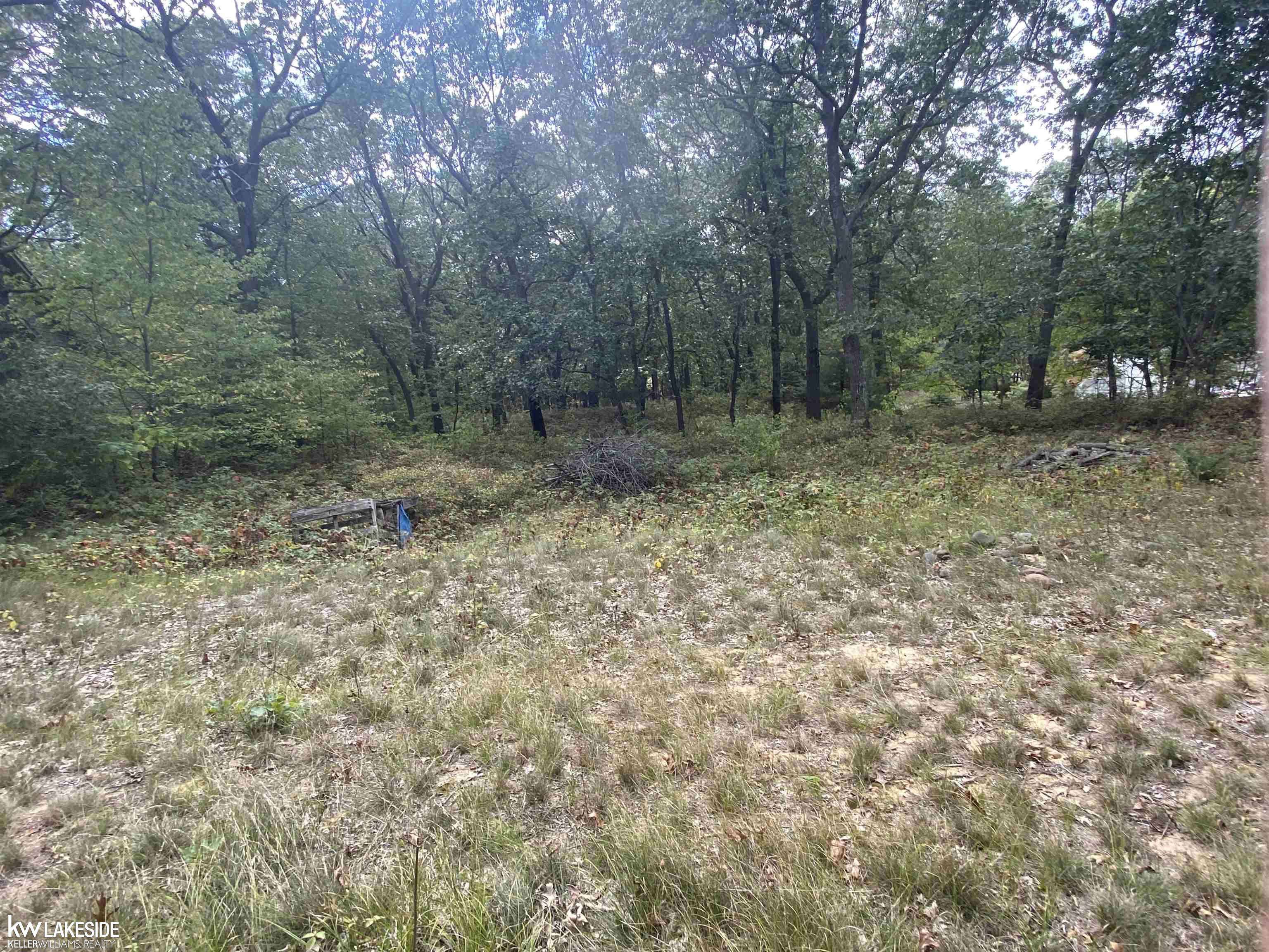 Caseville, MI 48725,00 Port Austin RD