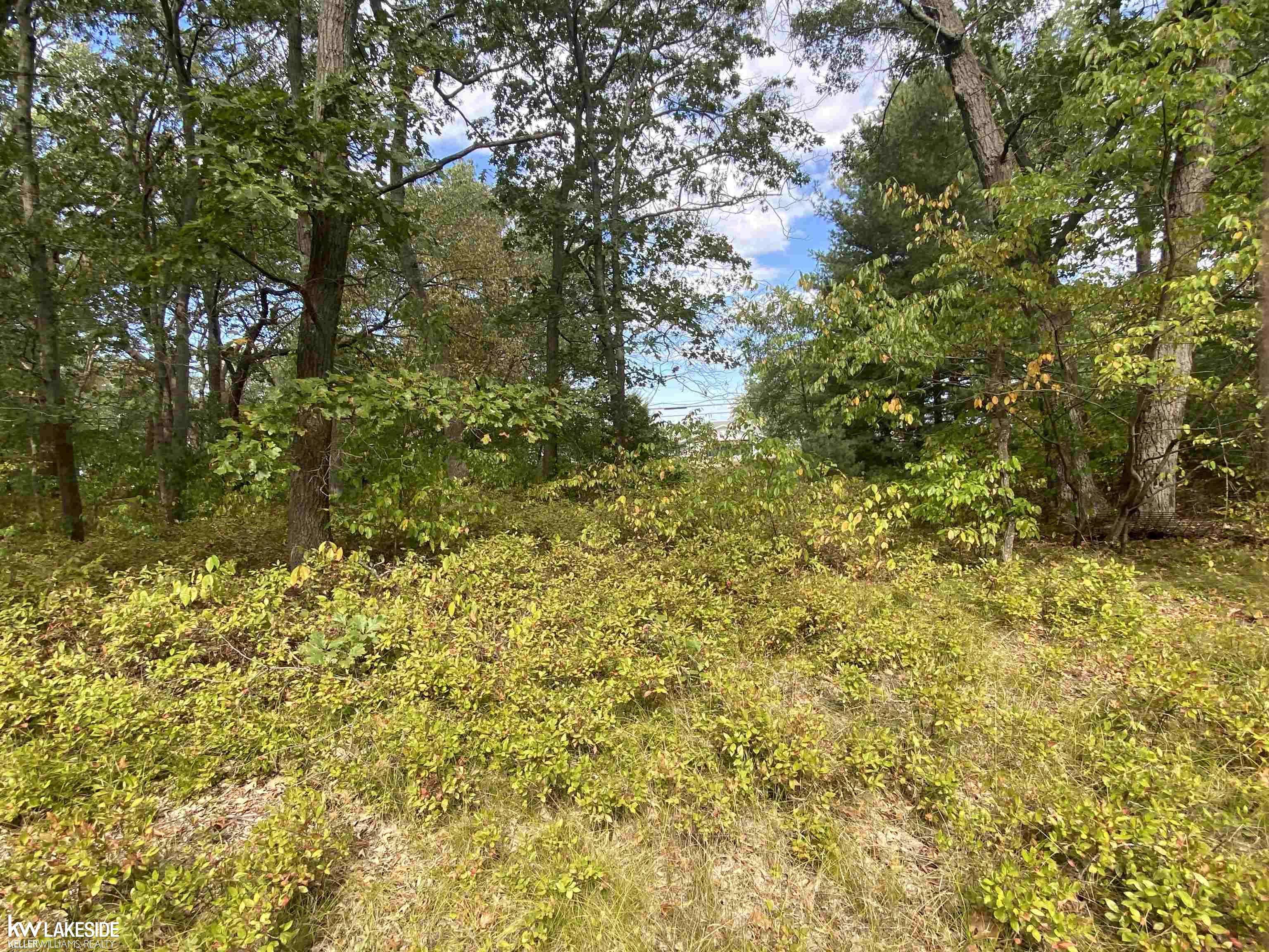 Caseville, MI 48725,00 Port Austin RD