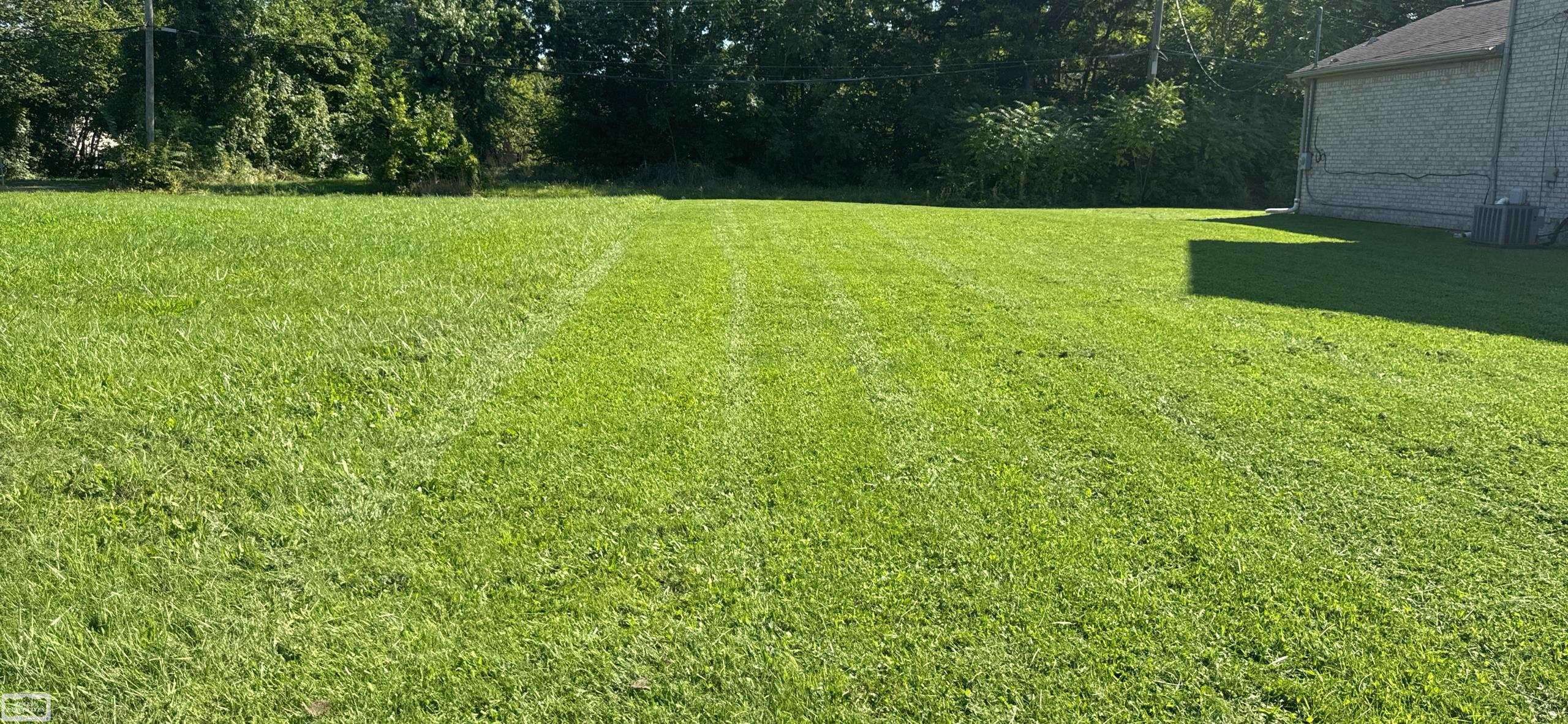 Detroit, MI 48215,3064 Marlborough ST