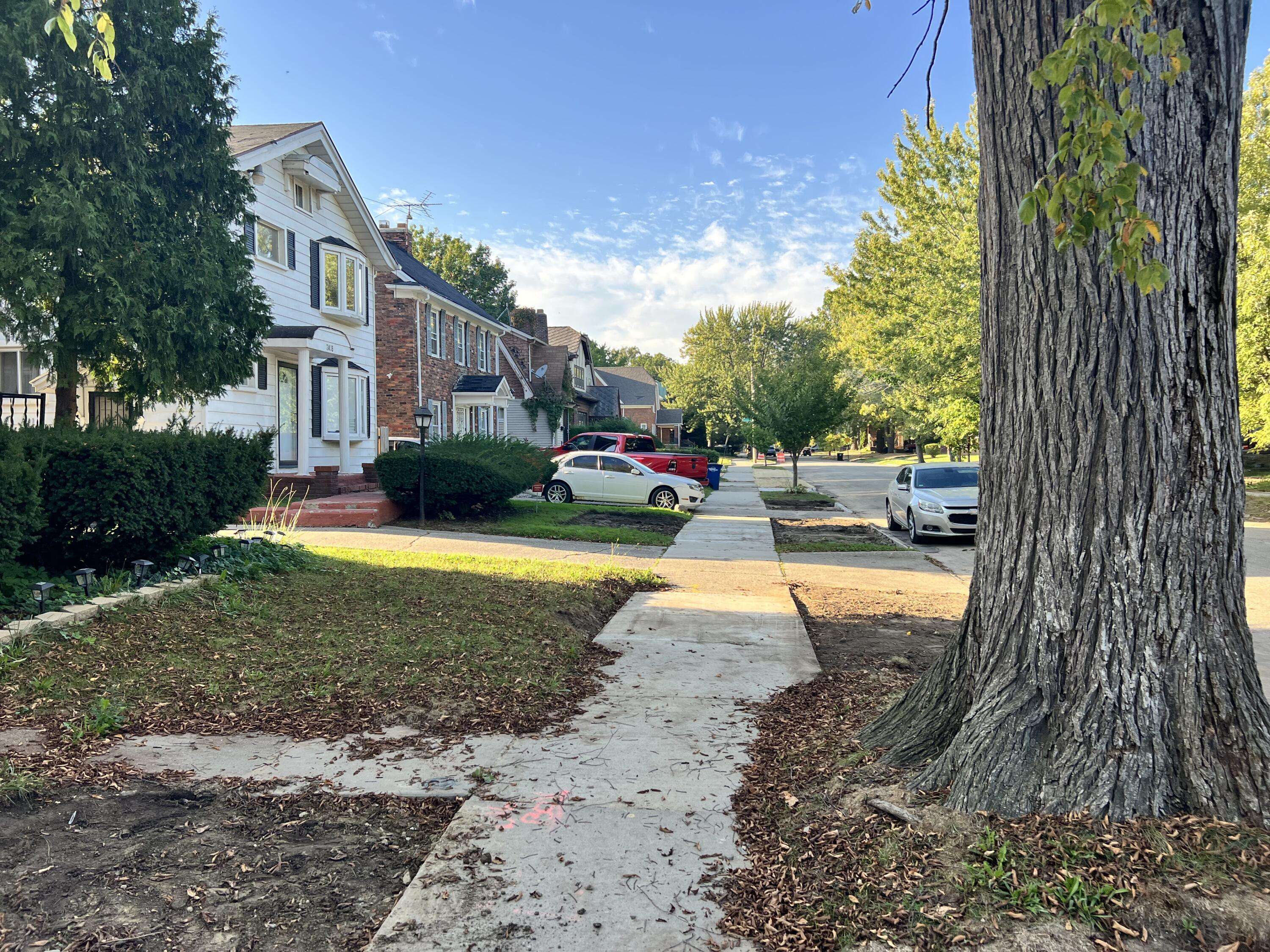 Detroit, MI 48224,3479 Courville ST