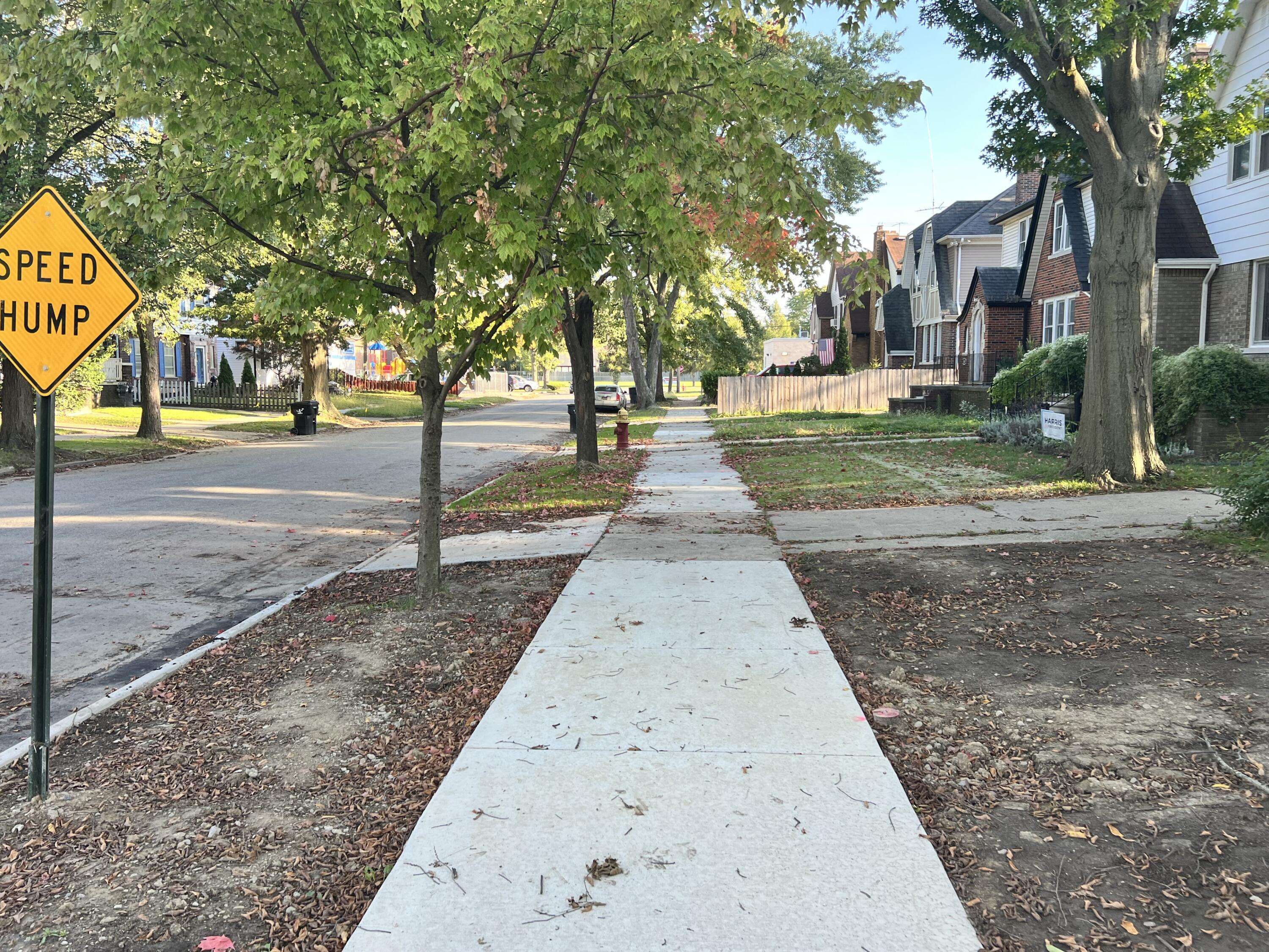 Detroit, MI 48224,3479 Courville ST