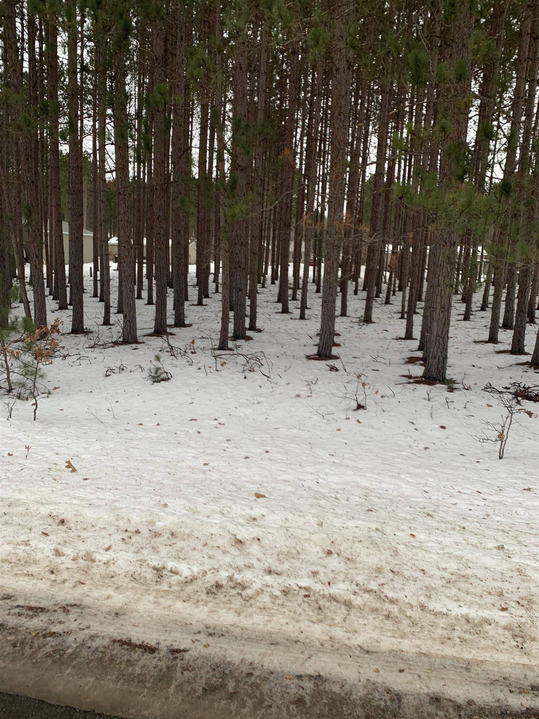 Rapid City, MI 49676,9086 Pine Circle Drive NW