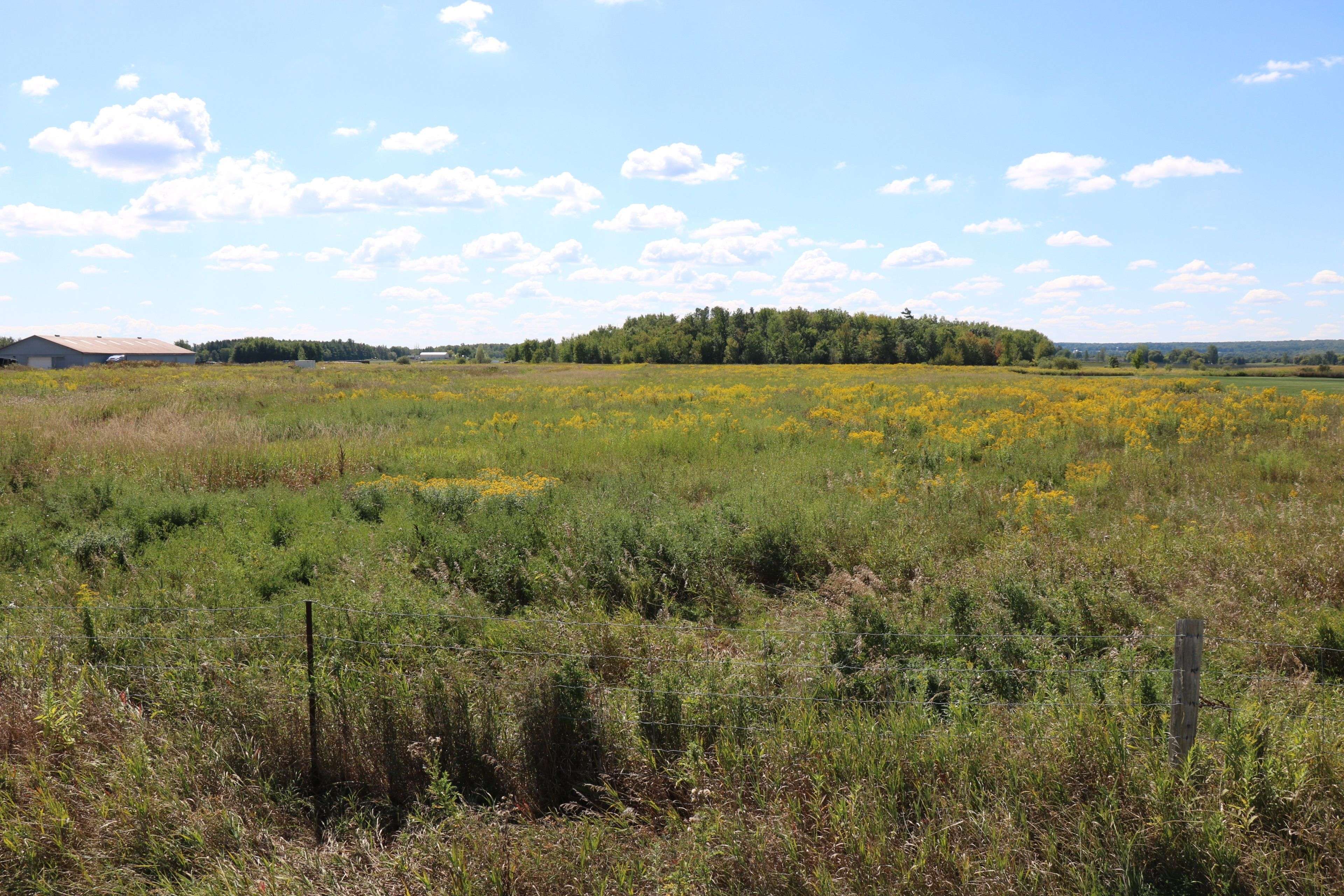 Caledon, ON L7C 2C2,0 HURONTARIO ST