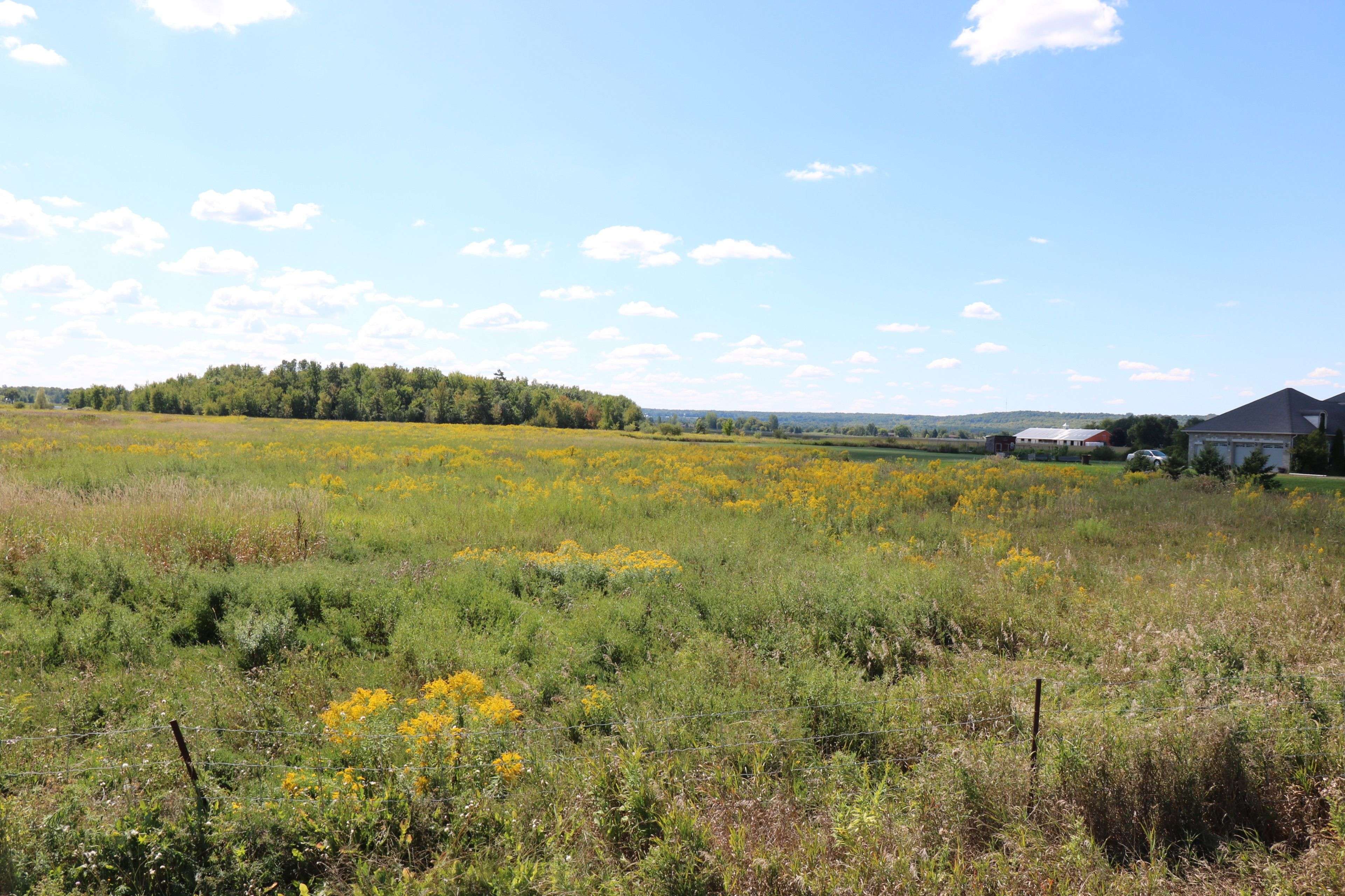 Caledon, ON L7C 2C2,0 HURONTARIO ST