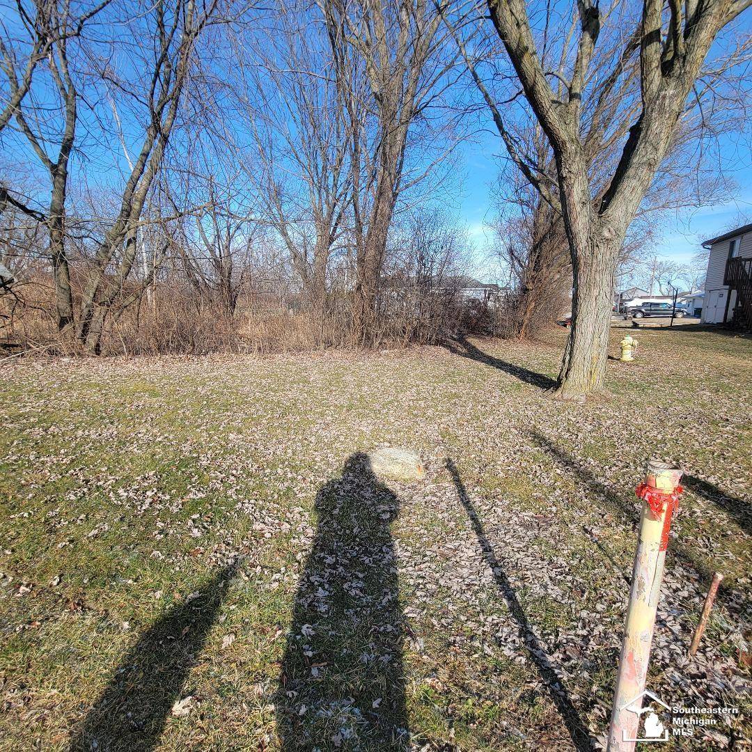 Brownstown, MI 48173,35331 Milleville RD