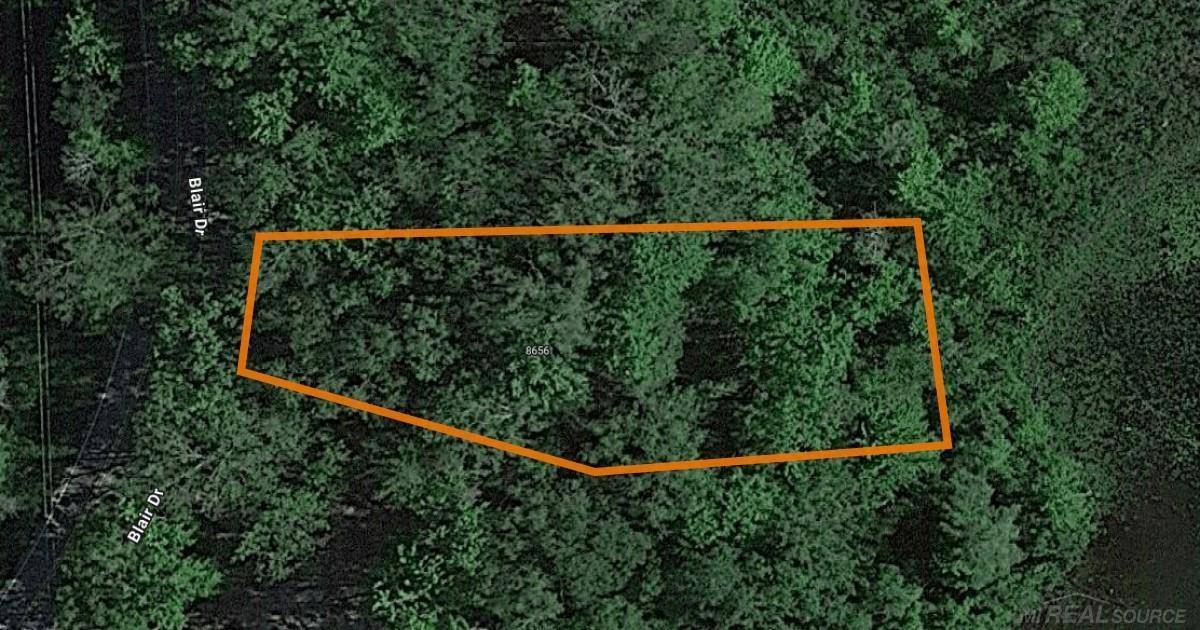 Bitely, MI 49309,8656 N Blair DR