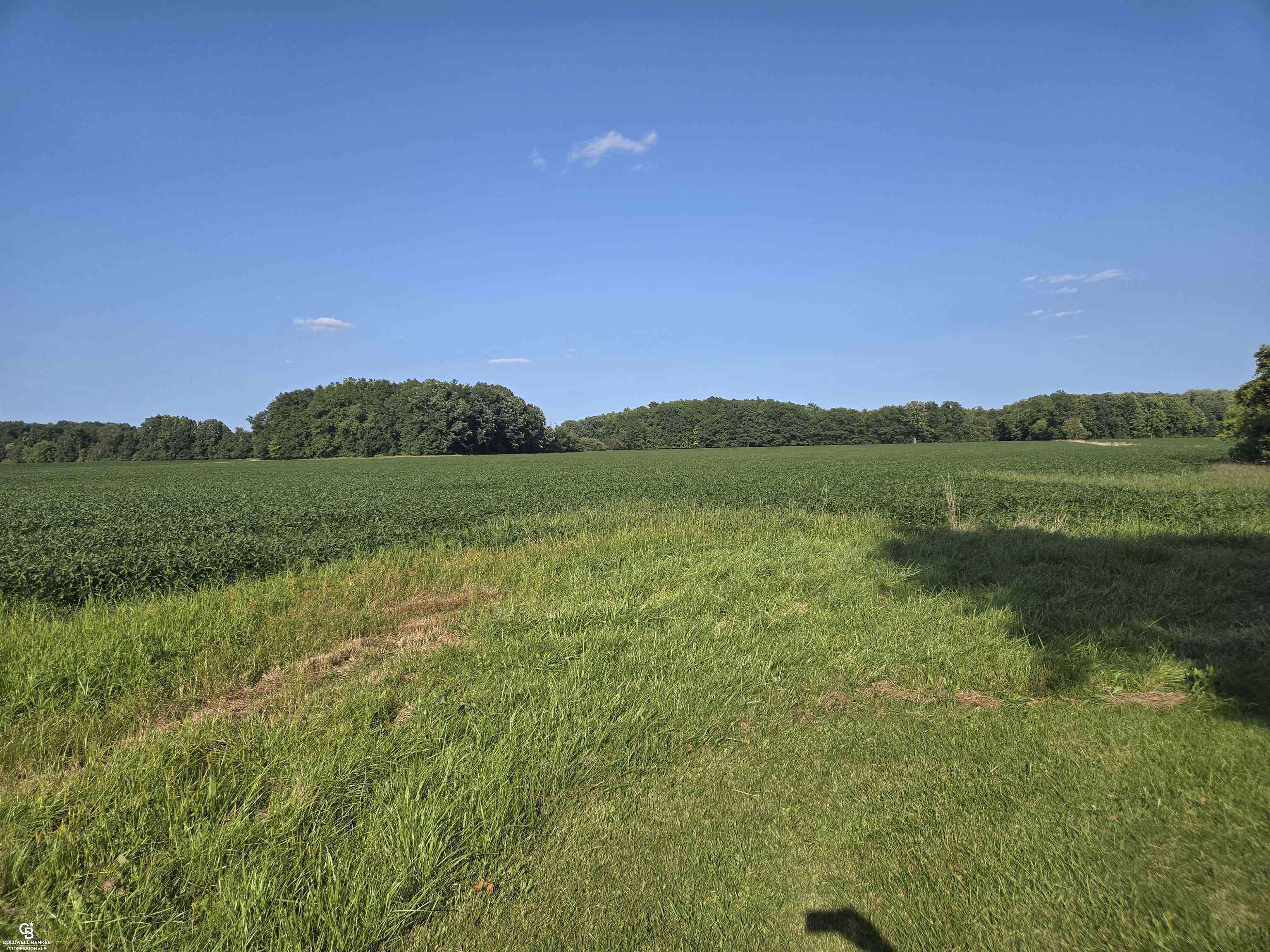 Avoca, MI 48006,0 Fargo VL RD