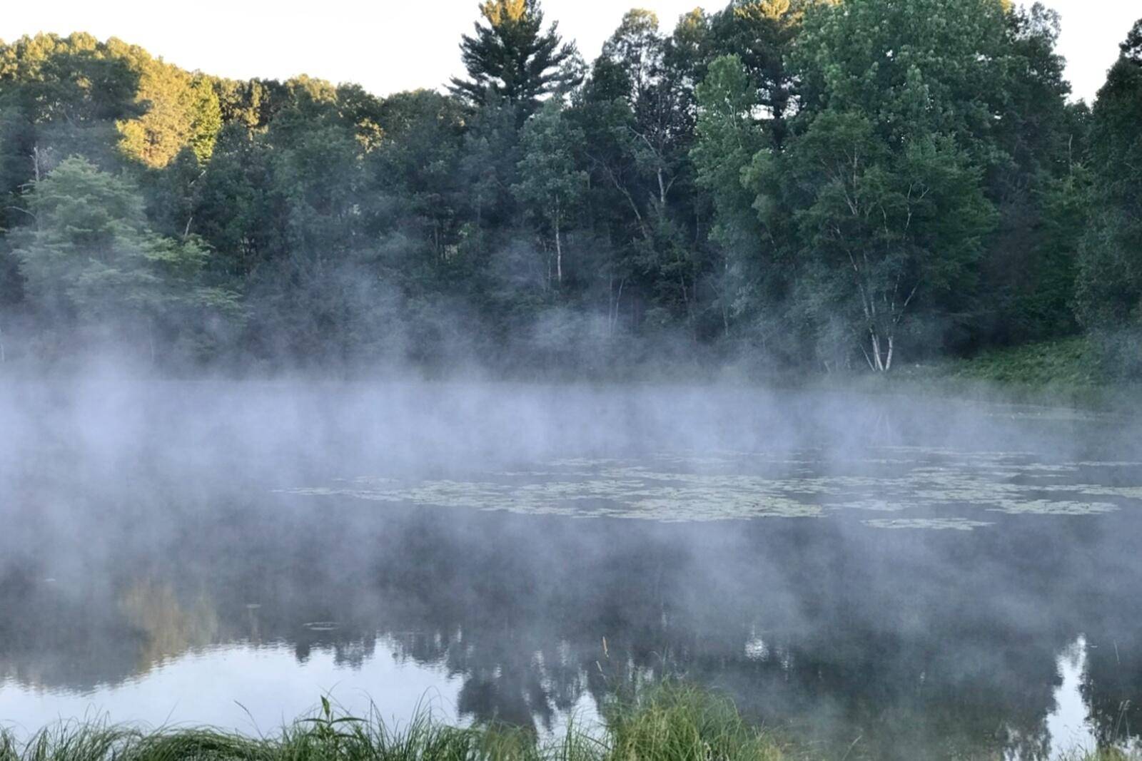 Canadian Lakes, MI 49346,12290 San Rafael CT