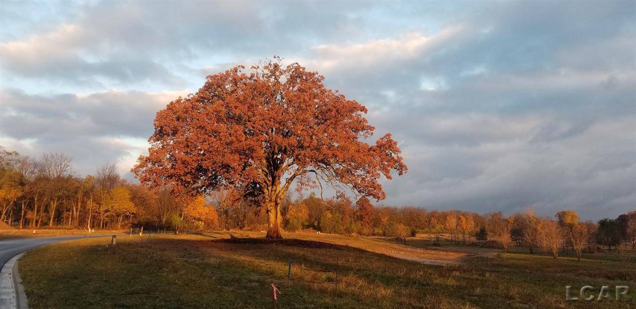 Tecumseh, MI 49286,752 Eagle View WAY