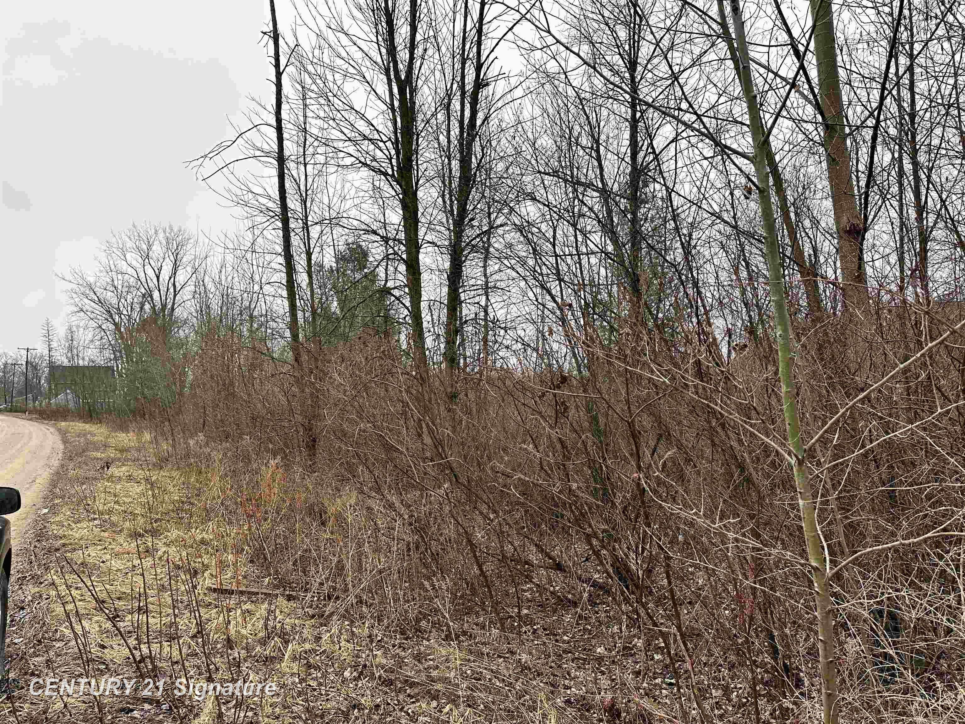 4019 Bay AVE, Billings Twp, MI 48612