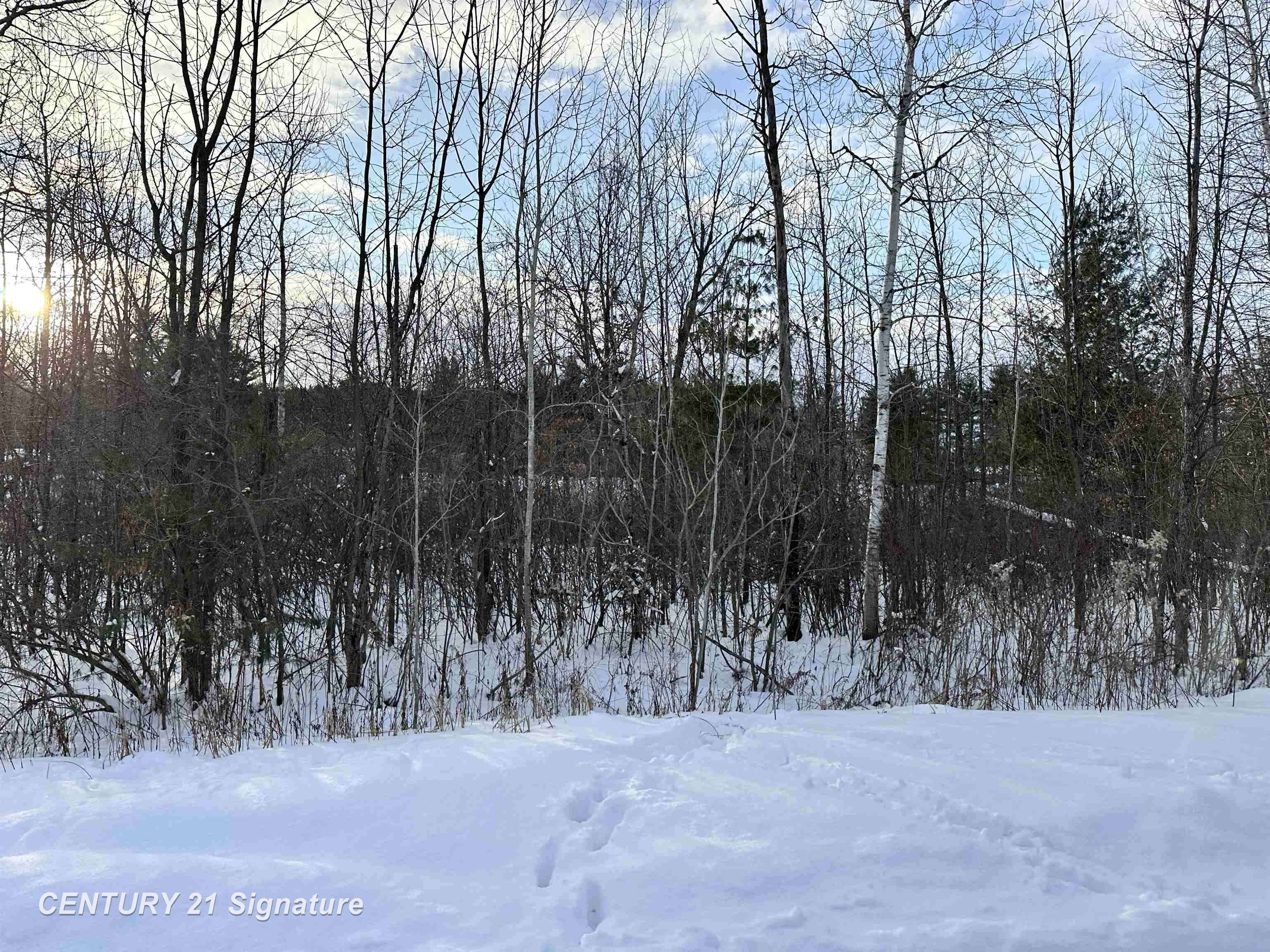 4019 Bay AVE, Billings Twp, MI 48612