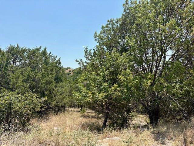 Possum Kingdom Lake, TX 76449,Lot 246 Broadmoor Court