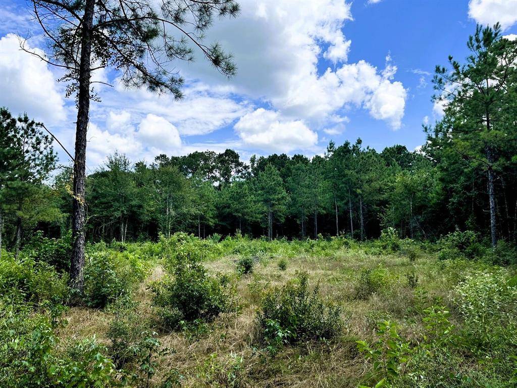 Newton, TX 75977,248 County Road 1047