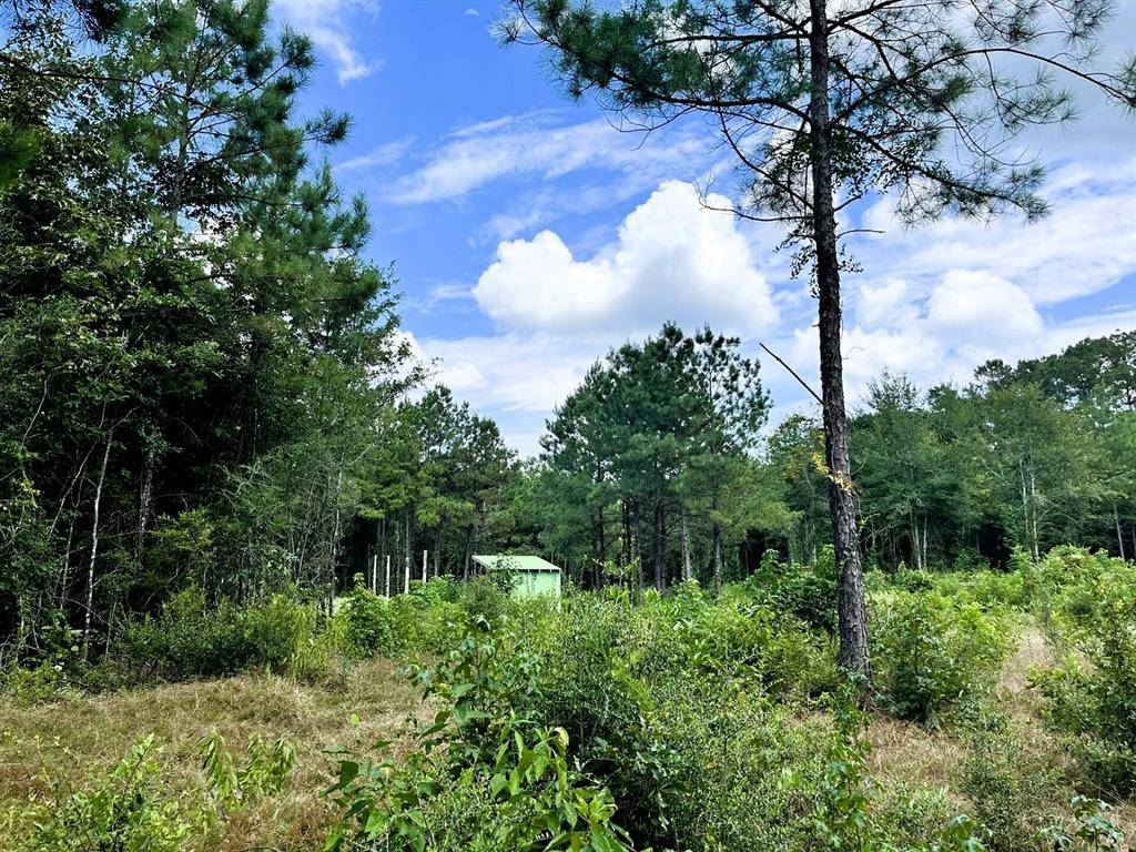 Newton, TX 75977,248 County Road 1047