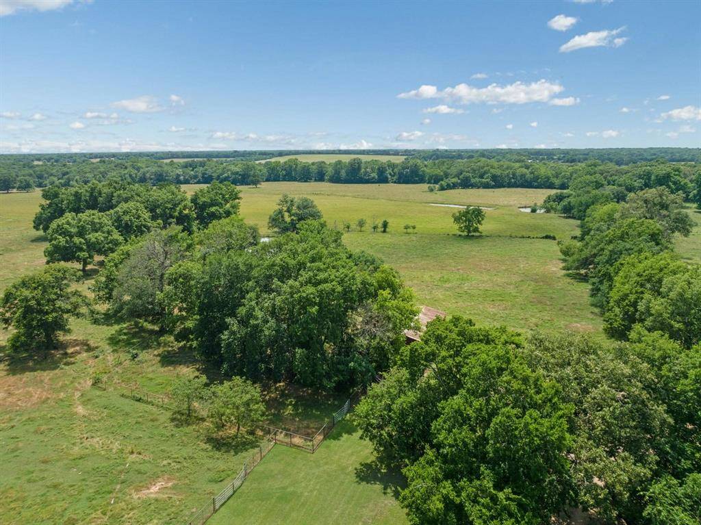 Pattonville, TX 75468,TBD County Road 15520
