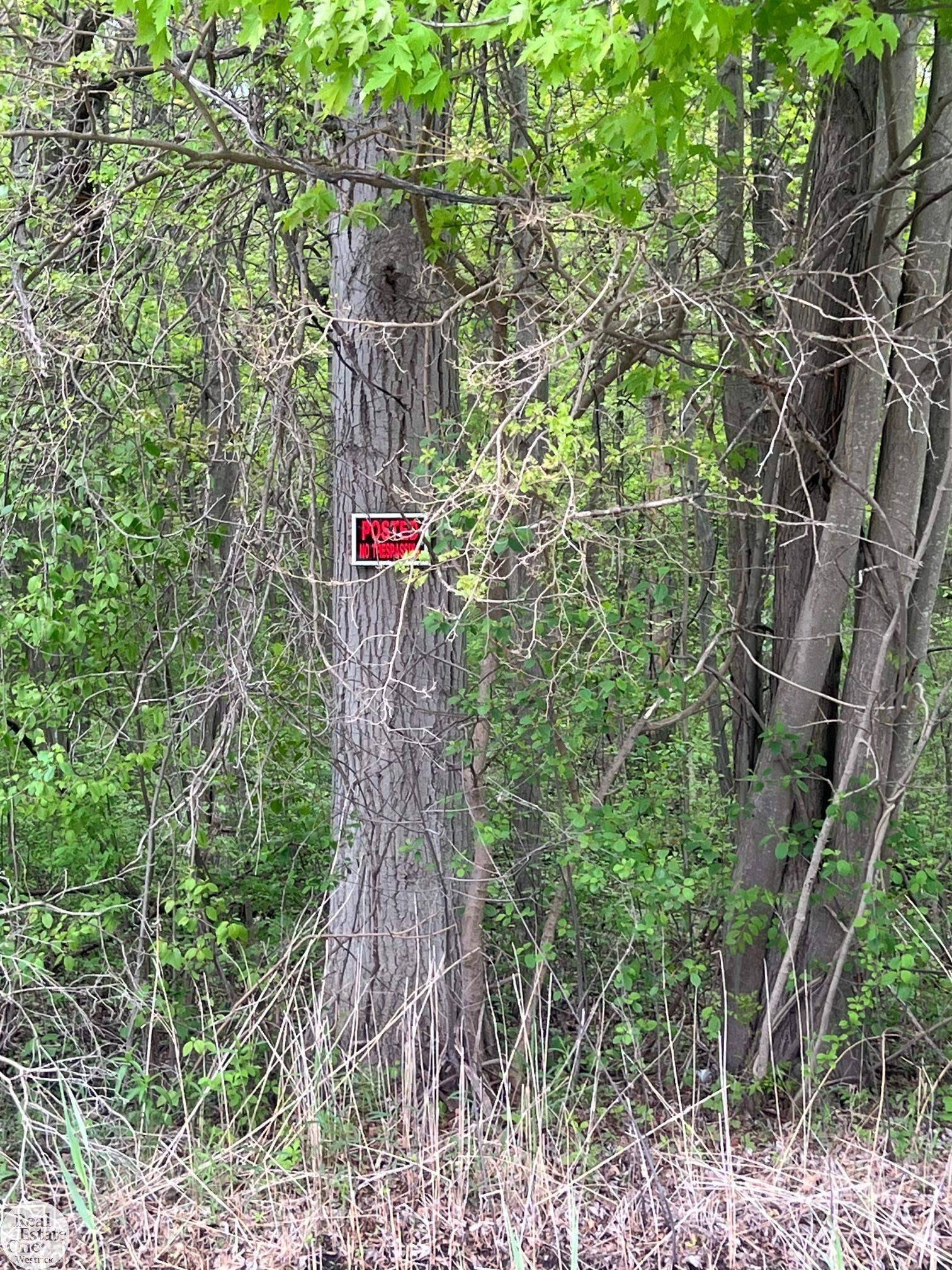 Algonac, MI 48001,0 Benoit RD