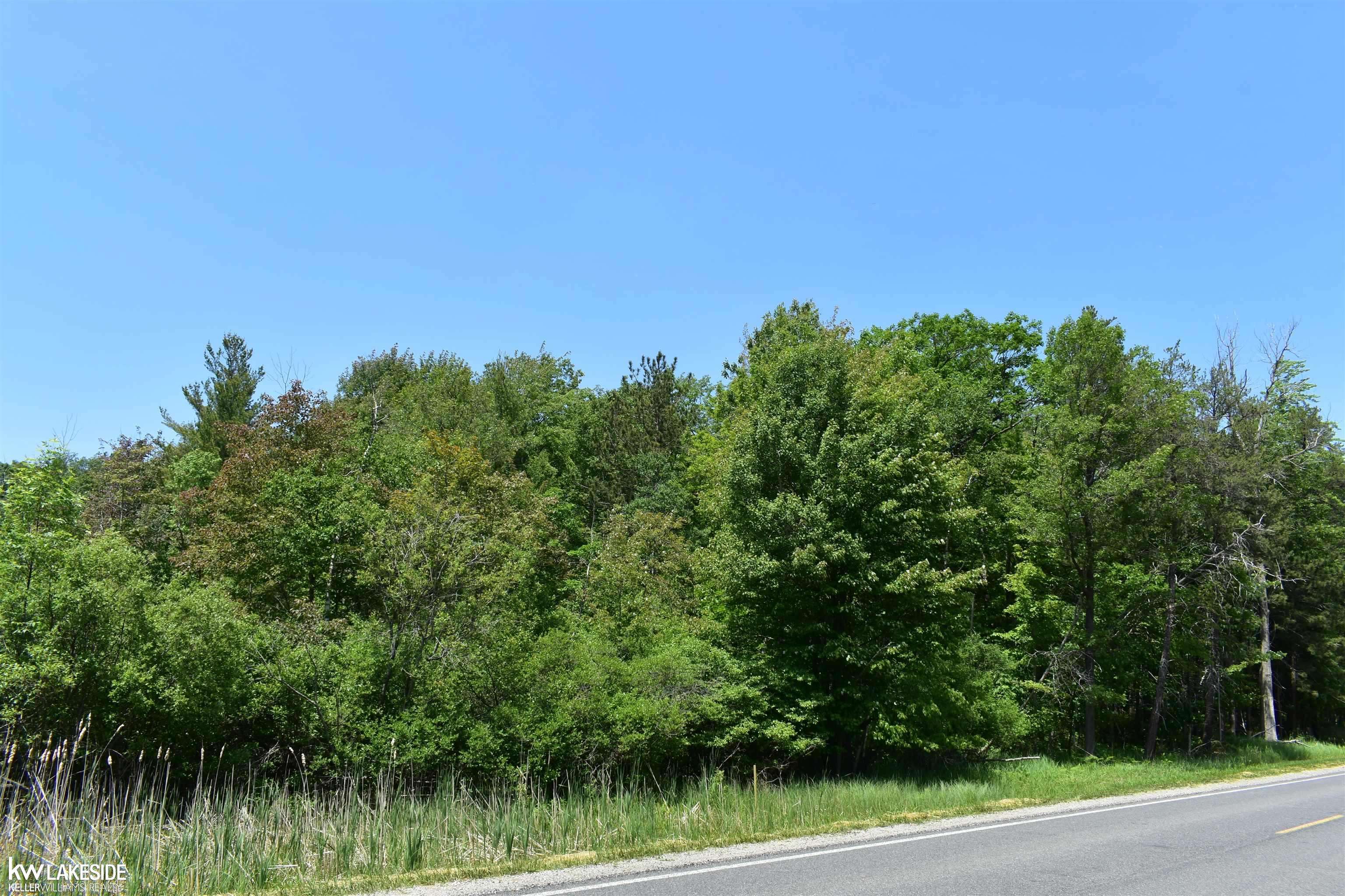 Port Austin, MI 48467,0 Oak Beach RD