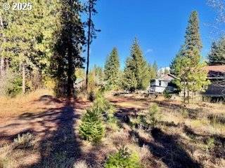 Trout Lake, WA 98650,Trout Lake Park RD ##2