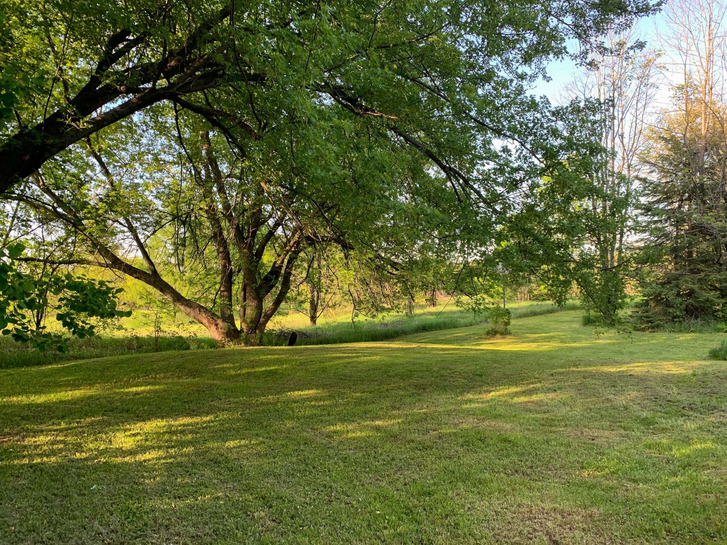 New Tecumseth, ON L0G 1W0,2421 10 Side Road N