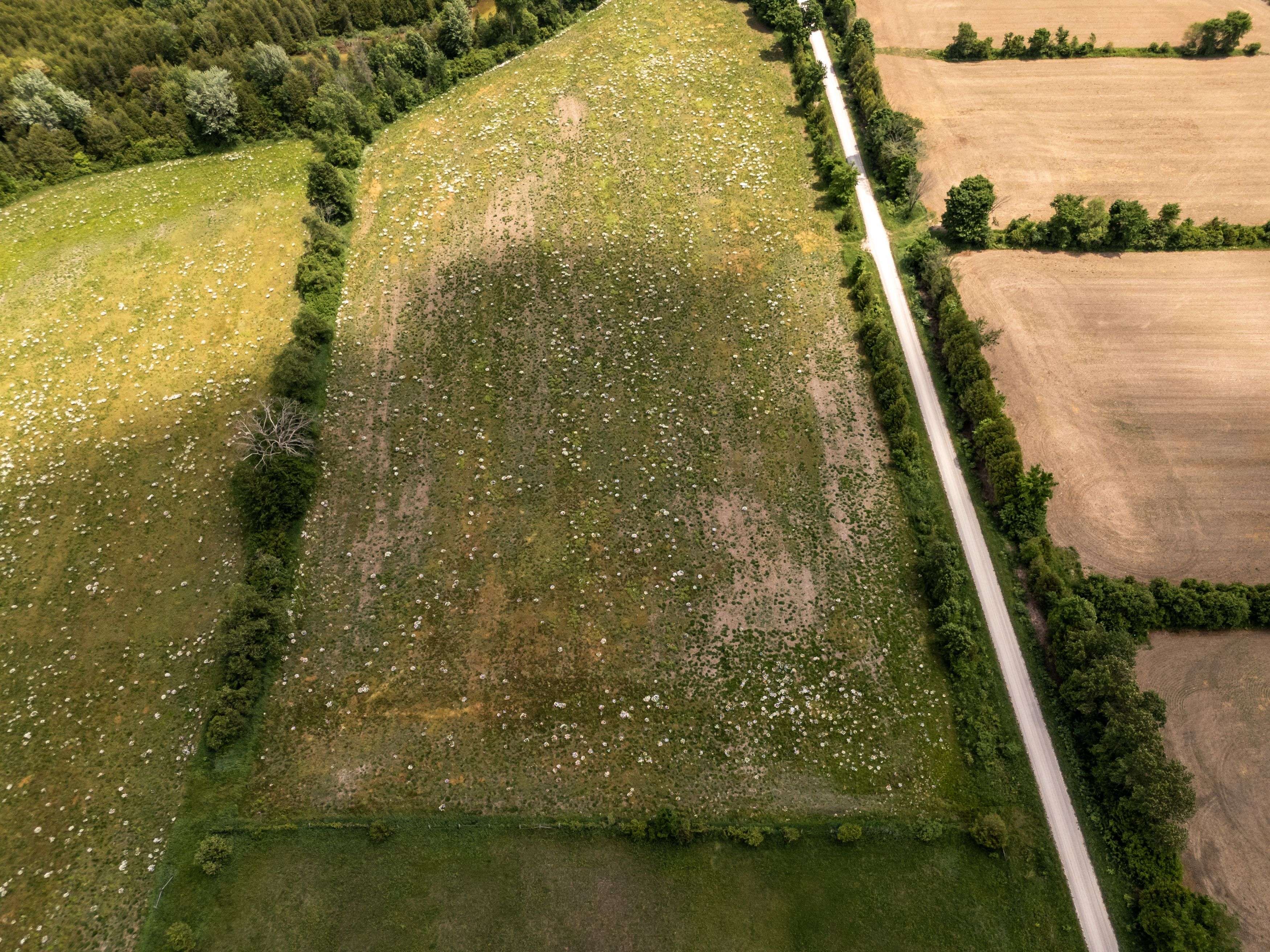 Chatsworth, ON N0H 1K0,135389 Concession 8 RD