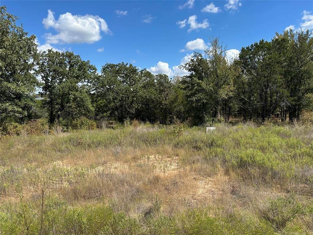 Nemo, TX 76070,1020 Rose Court