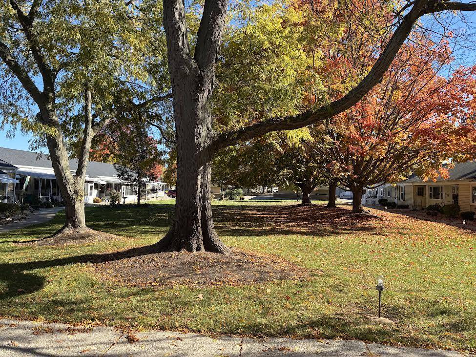 Jenison, MI 49428,1002 Village Lane