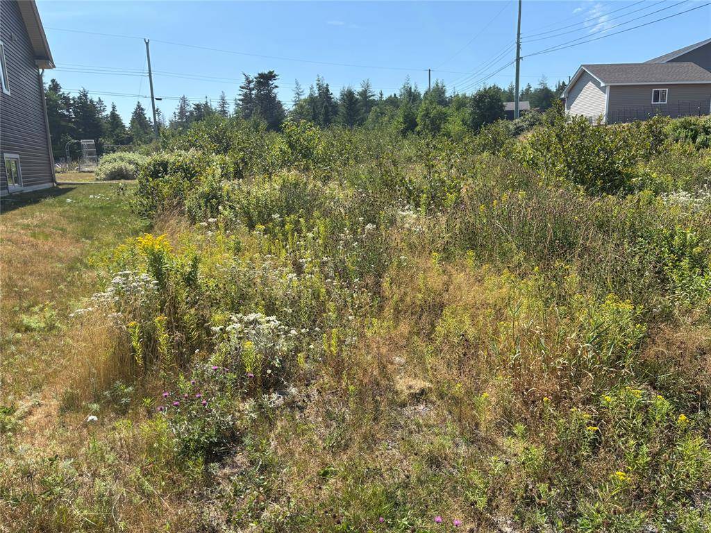 Bay Roberts, NL A0A 1G0,4 Captains Place