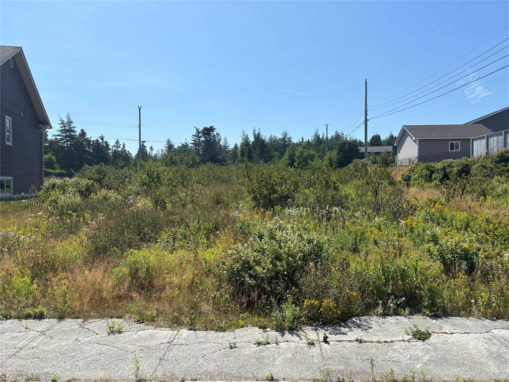 Bay Roberts, NL A0A 1G0,4 Captains Place