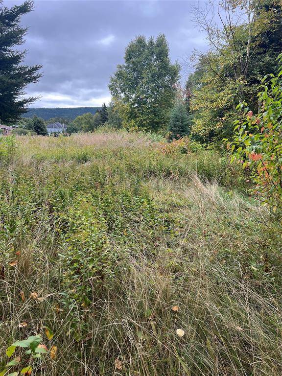 Pasadena, NL A0L 1K0,106 A Midland Row